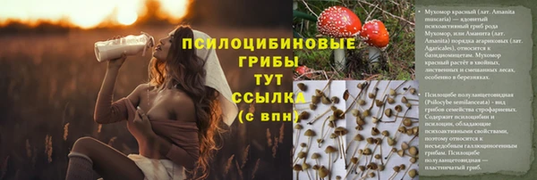 амф Алзамай