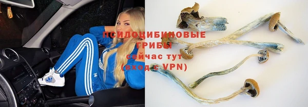 mix Алексин