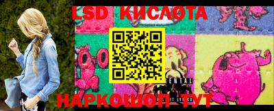 индика Можайск