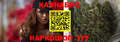 индика Можайск