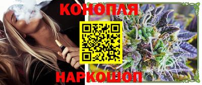 индика Можайск
