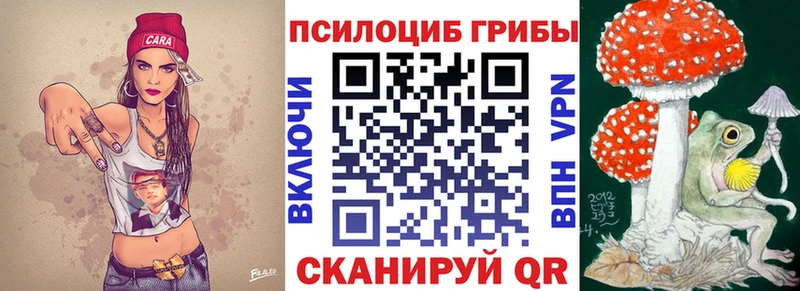 купить   Ступино  Псилоцибиновые грибы мухоморы 