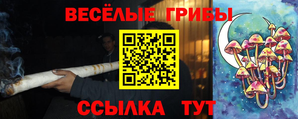 Ступино  Галлюциногенные грибы мухоморы  Вход с VPN 