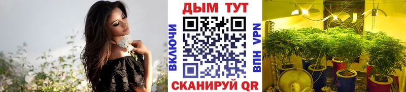 Марихуана семена  Ступино 